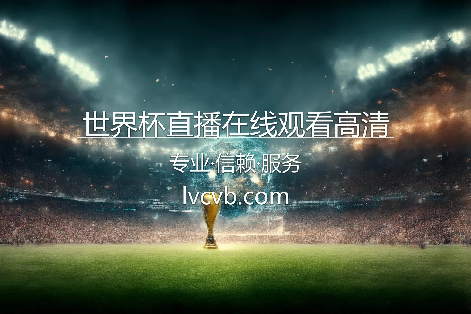 世界杯直播在线观看高清官网